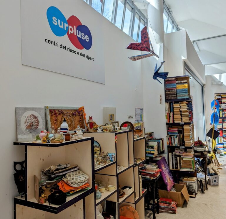 Festa dello sbarazzo