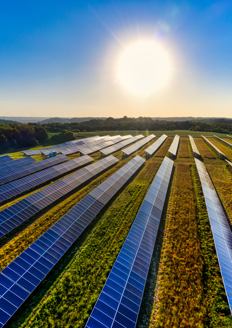 Forum Nazionale Ecosostenibilità